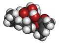 Ingenol mebutate (ingenol-3-angelate) actinic keratosis treatment drug molecule. Atoms are represented as spheres with