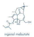 ingenol mebutate ingenol-3-angelate actinic keratosis treatment drug molecule. Skeletal formula.