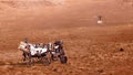 Ingenuity drone and Mars Rover, exploration of the planet Mars.Elements of this image furnished by NASA 3D illustration Royalty Free Stock Photo