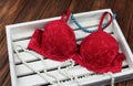 Ingerie bra red wooden background with pearl necklace