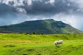 Ingleborough mountain. Yorkshire Dales National Park Royalty Free Stock Photo