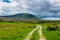 Ingleborough mountain. Yorkshire Dales National Park Royalty Free Stock Photo