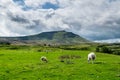 Ingleborough mountain. Yorkshire Dales National Park Royalty Free Stock Photo