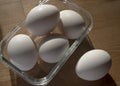 Heavy white eggs