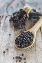 Black pepper on wood spoon ,spices for food. Royalty Free Stock Photo