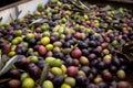 ripe oil healthy harvest green food tree nature olive leaf. Generative AI.