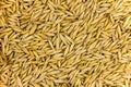 Ingredient for making malt for beer, brewing seed many grain background