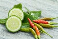 Ingredient thai herb for Tomyam cuisine Royalty Free Stock Photo