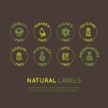 Ingredient Warning Label Icons. Allergens Gluten, Lactose, Soy, Corn, Diary, Milk, Sugar, Trans Fat. Vegetarian and Organic symbol Royalty Free Stock Photo