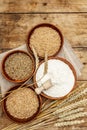 Ingredients for baking bread: wheat ears and a bowls of flour and grains Royalty Free Stock Photo