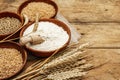 Ingredients for baking bread: wheat ears and a bowls of flour and grains Royalty Free Stock Photo