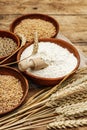 Ingredients for baking bread: wheat ears and a bowls of flour and grains Royalty Free Stock Photo