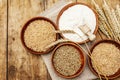 Ingredients for baking bread: wheat ears and a bowls of flour and grains Royalty Free Stock Photo