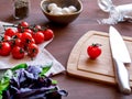 Ingredients for Caprese salad. Round tomatoes, mini mozzarella, basil, salt.