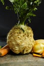 Ingredients for celeriac soup - celery root - celeriac, carrots, onion, potatoes