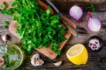 Ingredients for chimichurri sauce: fresh parsley, red onion, garlic, olive oil, lemon Royalty Free Stock Photo