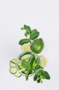 Ingredients for cooking cold green spring drink with cucumber, pieces of lime, fresh leaves mint and ice cubes on soft white wood. Royalty Free Stock Photo