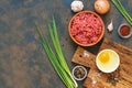 Ingredients for cooking cutlets, meatballs-minced beef meat, raw egg, green onions, garlic, spices on a dark background. Top view, Royalty Free Stock Photo