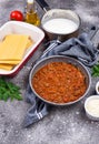 Ingredients for cooking lasagna Bolognese