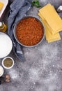 Ingredients for cooking lasagna Bolognese