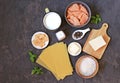 Ingredients for cooking lasagna with salmon: slices of raw salmon, mozzarella cheese, milk, parmesan cheese, wheat flour, dried Royalty Free Stock Photo