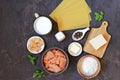 Ingredients for cooking lasagna with salmon: slices of raw salmon, mozzarella cheese, milk, parmesan cheese, wheat flour, dried Royalty Free Stock Photo