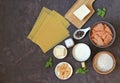 Ingredients for cooking lasagna with salmon: slices of raw salmon, mozzarella cheese, milk, parmesan cheese, wheat flour, dried Royalty Free Stock Photo