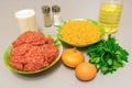 Ingredients for cooking meatballs: minced meat, breadcrumbs, mil Royalty Free Stock Photo