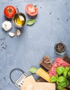 Ingredients for cooking pasta Bolognese. Spaghetti, Parmesan cheese, tomatoes, metal grater, olive oil, garlic, minced Royalty Free Stock Photo