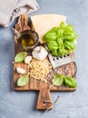 Ingredients for cooking Pesto sauce. Parmesan cheese, metal grater, fresh basil, olive oil, garlic and pine nuts on old Royalty Free Stock Photo