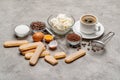 Ingredients for cooking tiramisu - Savoiardi biscuit cookies, mascarpone, cream, sugar, cocoa, coffee and egg Royalty Free Stock Photo