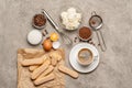 Ingredients for cooking tiramisu - Savoiardi biscuit cookies, mascarpone, cream, sugar, cocoa, coffee and egg Royalty Free Stock Photo