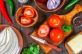 Ingredients for cooking traditional Mexican enchiladas. Tomatoes, cilantro, red onion, chicken fillet, tortillas, kukurznye flat c Royalty Free Stock Photo