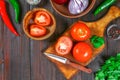 Ingredients for cooking traditional Mexican enchiladas. Tomatoes, cilantro, red onion, chicken fillet, tortillas, kukurznye flat c Royalty Free Stock Photo