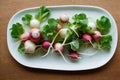 Ingredients for diet fresh radishes for radish salad on wooden table