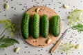 Ingredients for fermenting cucumbers. Green cucumbers on a cutting board, garlic, dill and pepper on a light gray