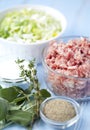 Ingredients for fresh sausage or meatballs