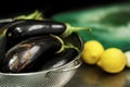 Ingredients of Greek and vegan cuisine. Eggplant and lemons.