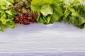 Ingredients for the healthy foods selection. Fresh Green lettuce set up on white wooden background