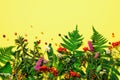 Ingredients of herbal alternative medicine, holistic and naturopathy approach on yellow background. Herbs, flowers for herbal tea