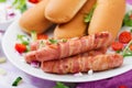 Ingredients for hot dog with sausage. bacon, cucumber, tomato and red onion Royalty Free Stock Photo