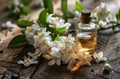 the ingredients of the jasmine essential oil Royalty Free Stock Photo