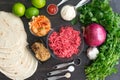 Ingredients for Korean Beef Tacos Royalty Free Stock Photo