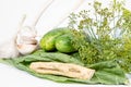 Ingredients for making brined pickles