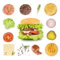 Ingredients for making burger and hamburger Royalty Free Stock Photo