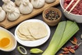 Ingredients for making dumplings. Meat filling, spices, leek and dough Royalty Free Stock Photo