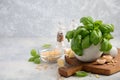 Ingredients for making green pesto sauce. Healthy Italian food. Royalty Free Stock Photo