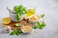 Ingredients for making green pesto sauce. Royalty Free Stock Photo