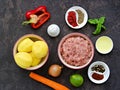 Ingredients for making meatbols with vegetable stew on a dark concrete background Royalty Free Stock Photo