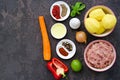Ingredients for making meatbols with vegetable stew on a dark concrete background Royalty Free Stock Photo